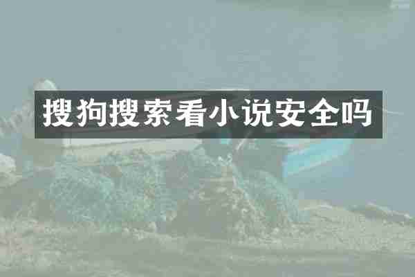 搜狗搜索看小说安全吗