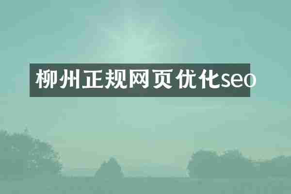 柳州正规网页优化seo