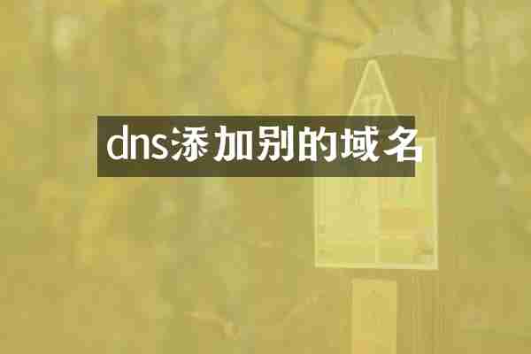 dns添加别的域名