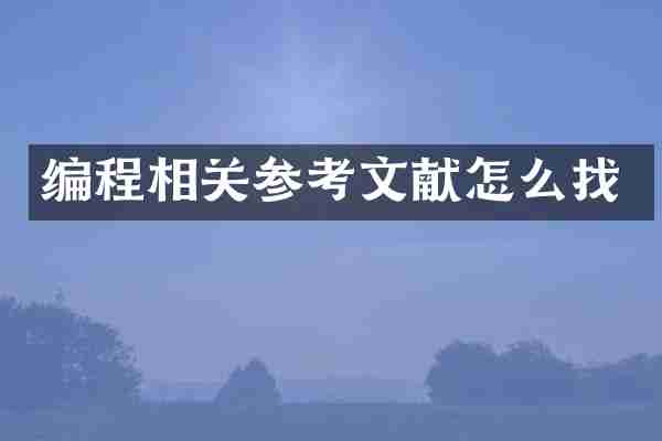 编程相关参考文献怎么找