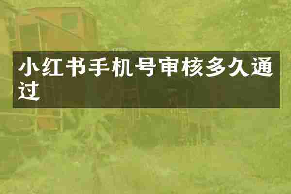 小红书手机号审核多久通过