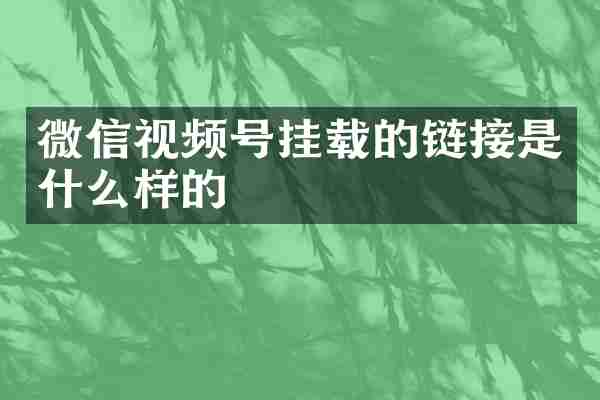 微信视频号挂载的链接是什么样的