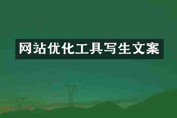 网站优化工具写生文案