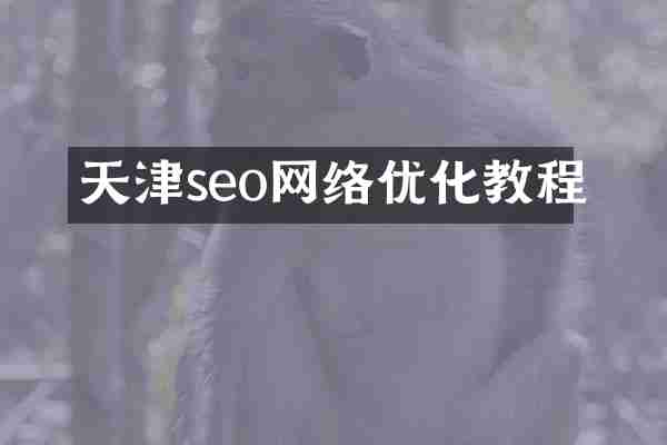 天津seo网络优化教程