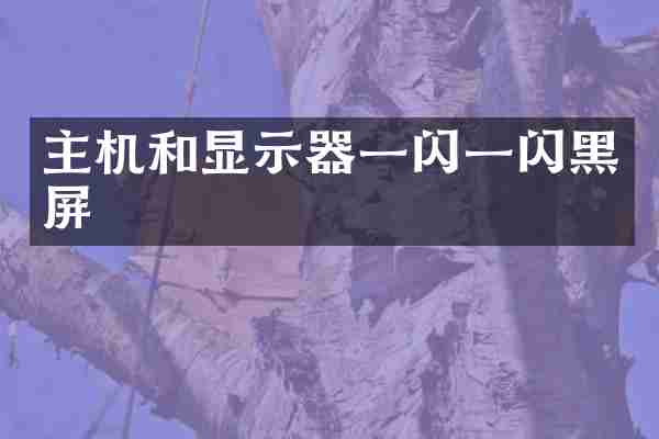 主机和显示器一闪一闪黑屏