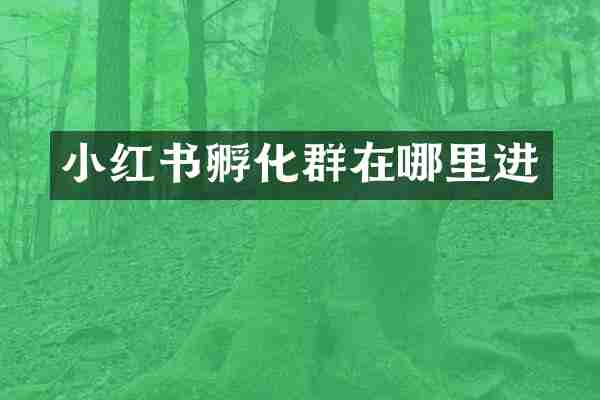 小红书孵化群在哪里进