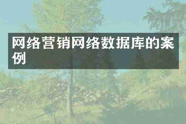 网络营销网络数据库的案例