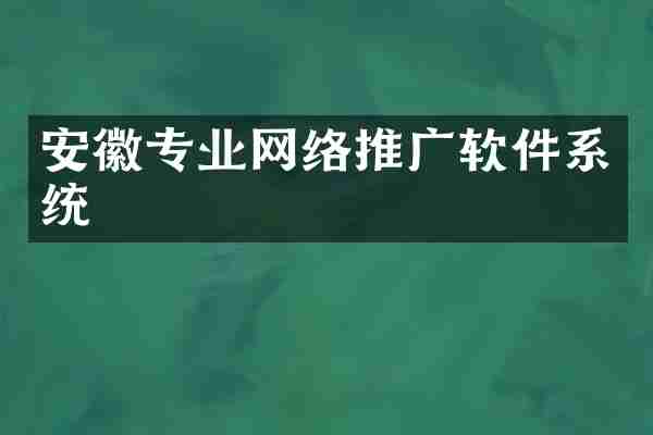 安徽专业网络推广软件系统