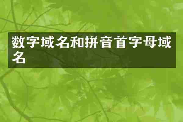 数字域名和拼音首字母域名