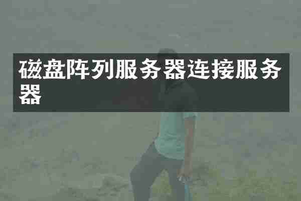 磁盘阵列服务器连接服务器