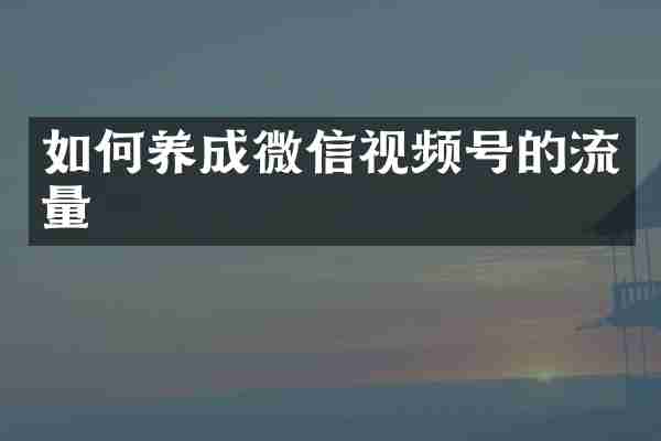 如何养成微信视频号的流量