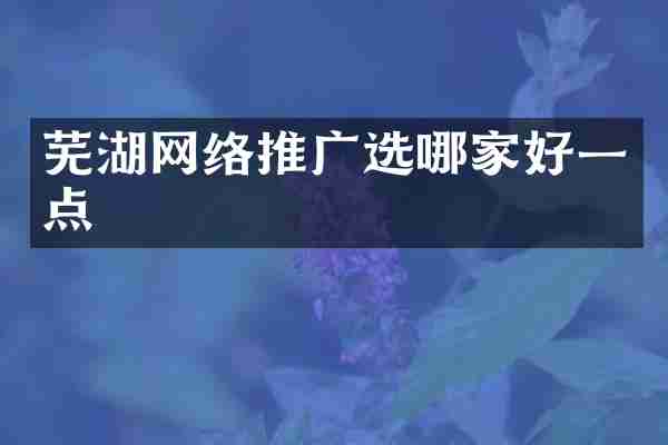 芜湖网络推广选哪家好一点