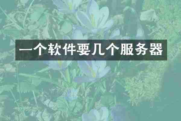 一个软件要几个服务器