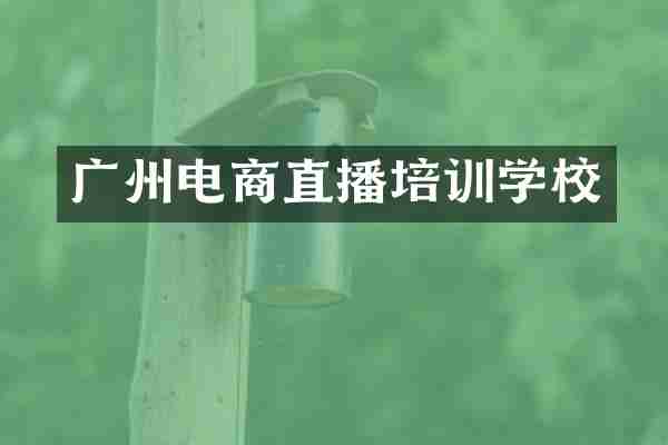 广州电商直播培训学校