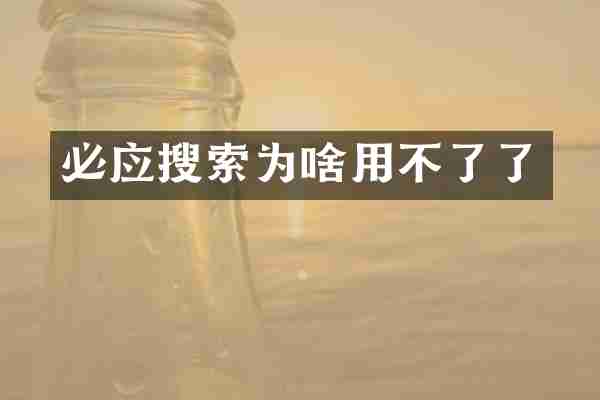 必应搜索为啥用不了了