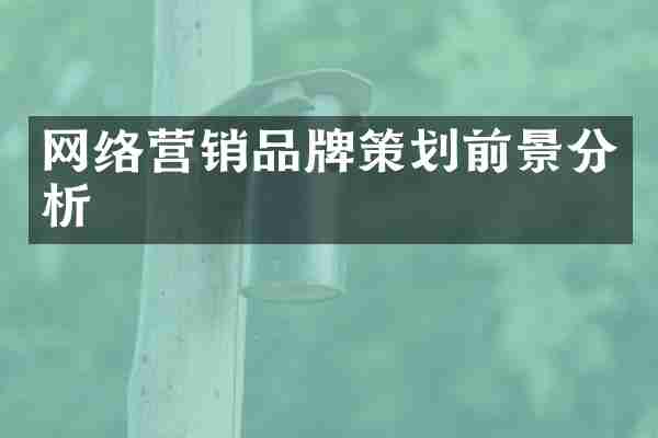 网络营销品牌策划前景分析