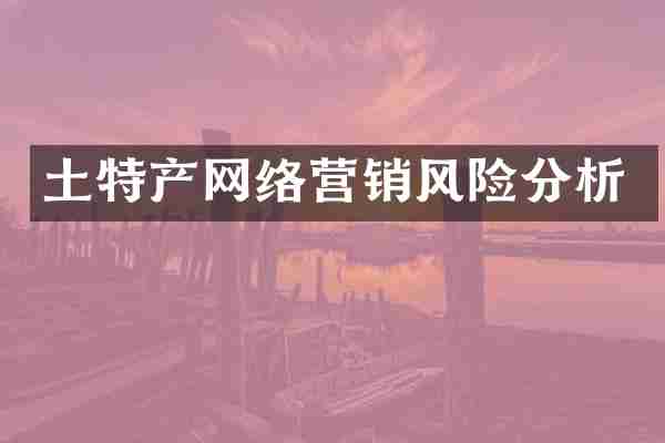 土特产网络营销风险分析