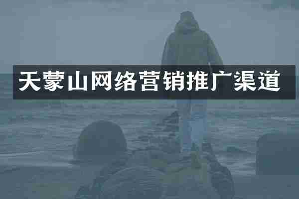 天蒙山网络营销推广渠道