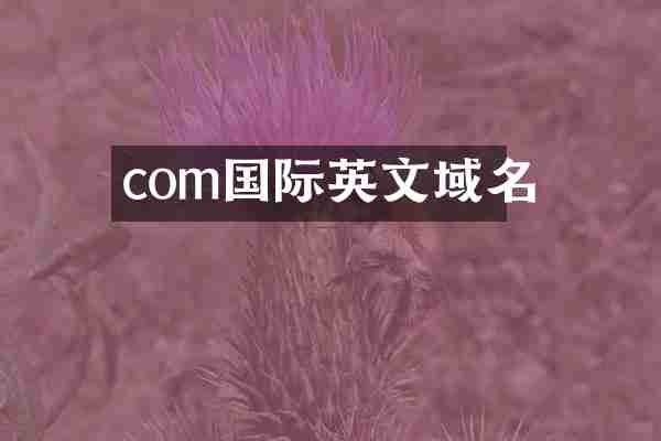 com国际英文域名