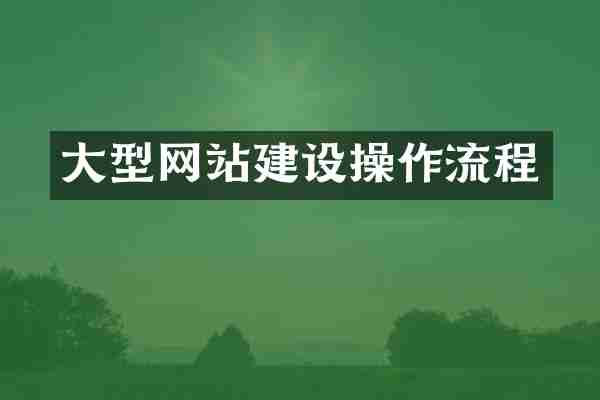 大型网站建设操作流程