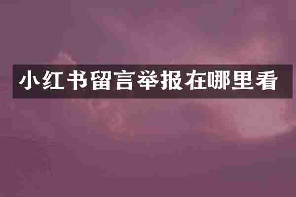 小红书留言举报在哪里看