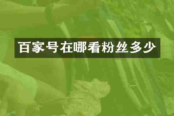 百家号在哪看粉丝多少