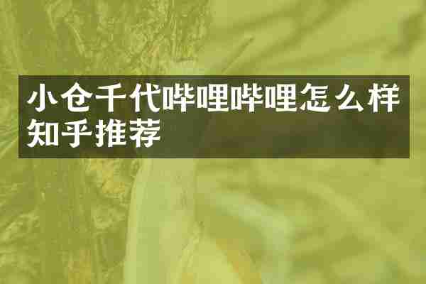 小仓千代哔哩哔哩怎么样知乎推荐