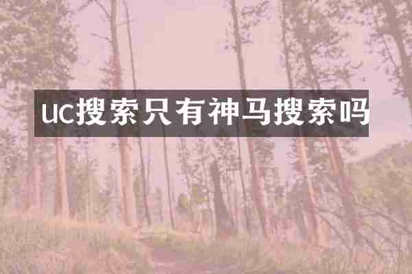 uc搜索只有神马搜索吗
