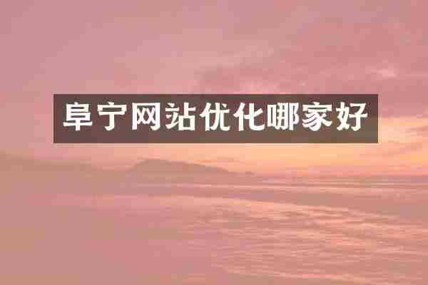 阜宁网站优化哪家好