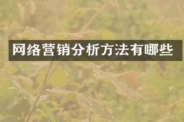 网络营销分析方法有哪些