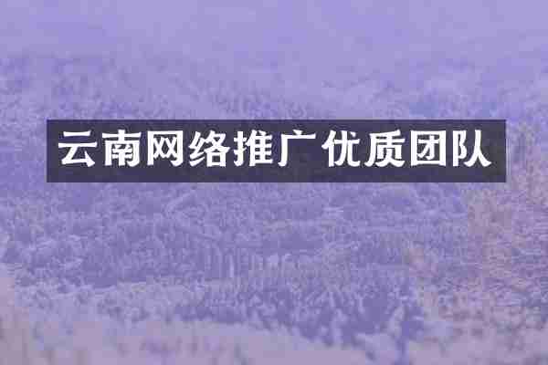 云南网络推广优质团队