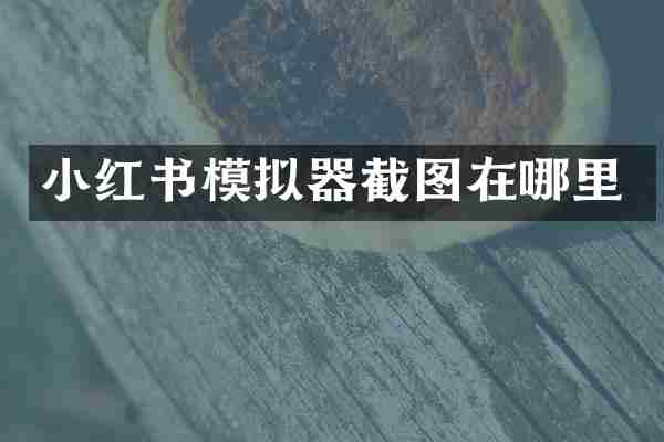 小红书模拟器截图在哪里