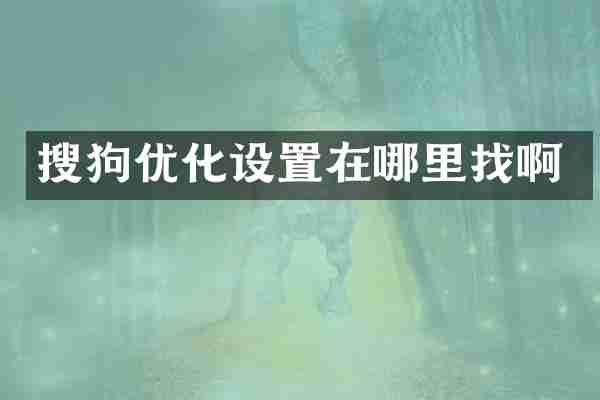 搜狗优化设置在哪里找啊