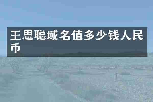 王思聪域名值多少钱