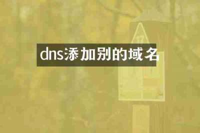 dns添加别的域名