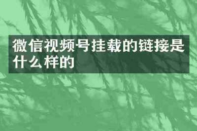 微信视频号挂载的链接是什么样的