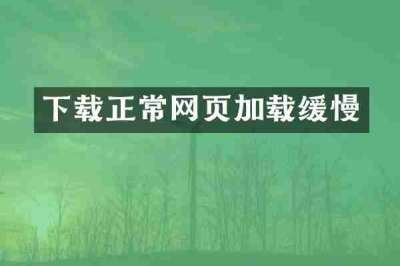 下载正常网页加载缓慢