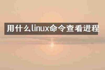 用什么linux命令查看进程