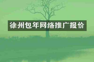 徐州包年网络推广报价