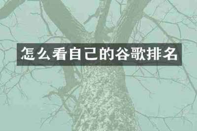 怎么看自己的谷歌排名
