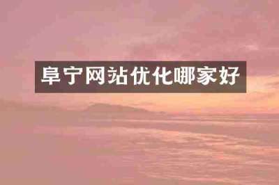 阜宁网站优化哪家好