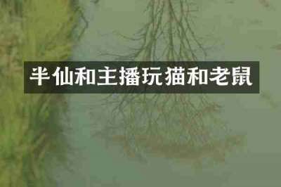 半仙和主播玩猫和老鼠