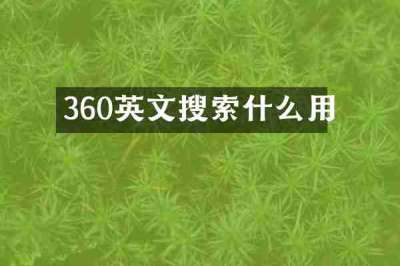 360英文搜索什么用