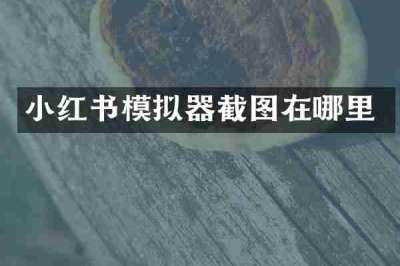 小红书模拟器截图在哪里