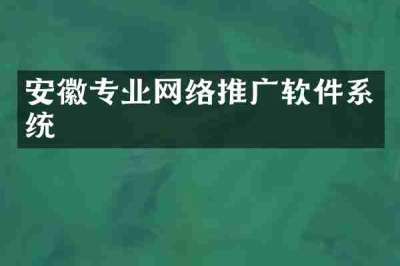 安徽专业网络推广软件系统