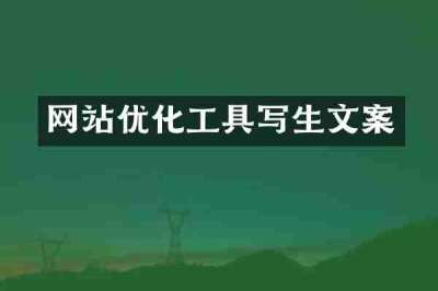 网站优化工具写生文案