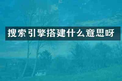 搜索引擎搭建什么意思呀