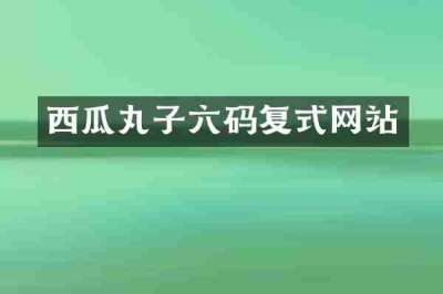 西瓜丸子六码复式网站