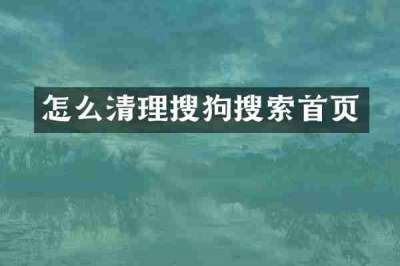 怎么清理搜狗搜索首页