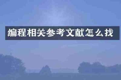 编程相关参考文献怎么找